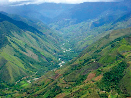 peru s monzon river valley shows a patchwork of coca fields