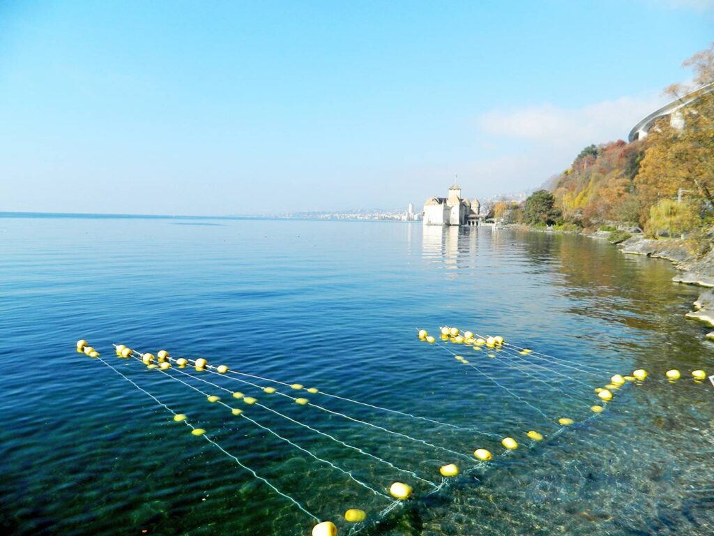 Procon Neptun Fischschutz 2015_Switzerland_HydroExploataion_Geneva_Lake_HPP 122 x 91 mm