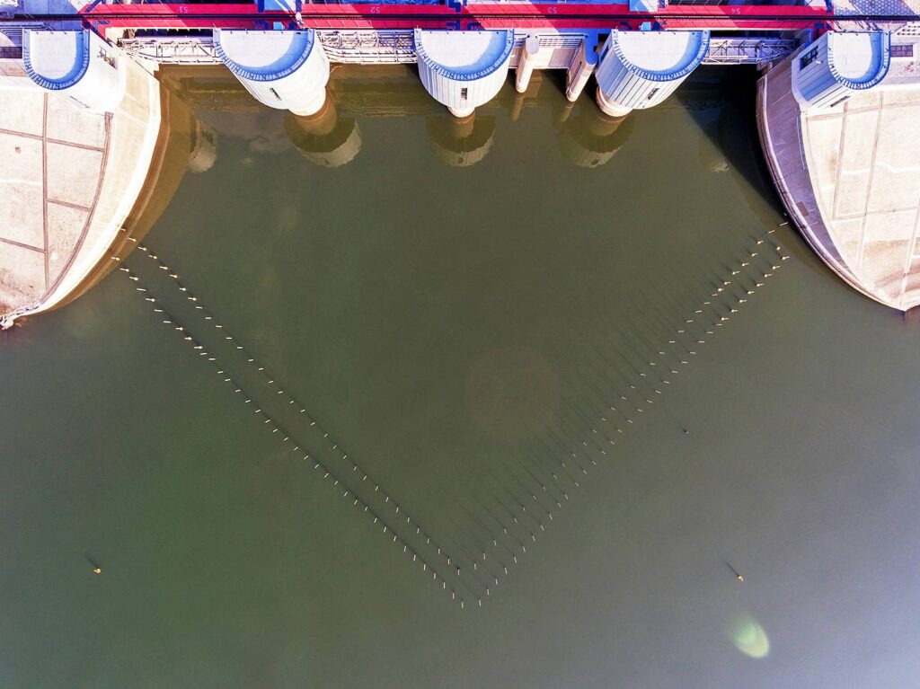 Procon Neptun Fischschutz 2016_Poland_Nysa_HPP_Nysa_Lake_Nyska_Kłodzka_River122 x 91 mm