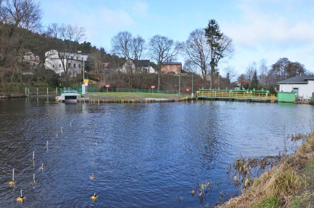 Procon Neptun Fischschutz 2020_Poland_Smołdzino_HPP_Łupawa_River