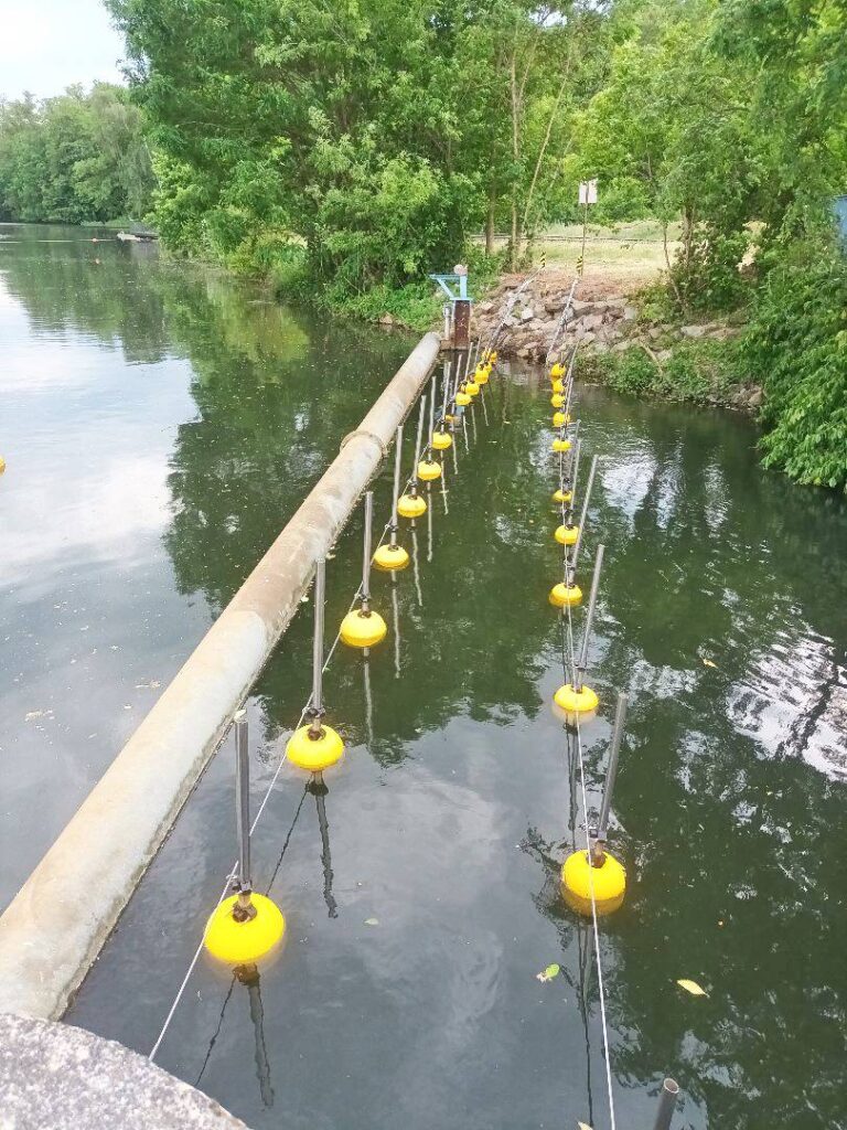 Procon Neptun Fischschutz 2024_Germany_Stadtwerke_Cottbus_Spree_River_HPP_02