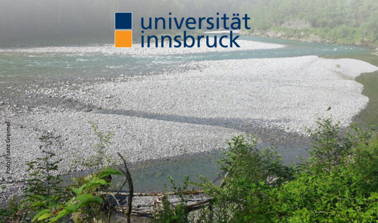 Geschiebe in Fließgewässern – Herausforderungen, Auswirkungen, Maßnahmen