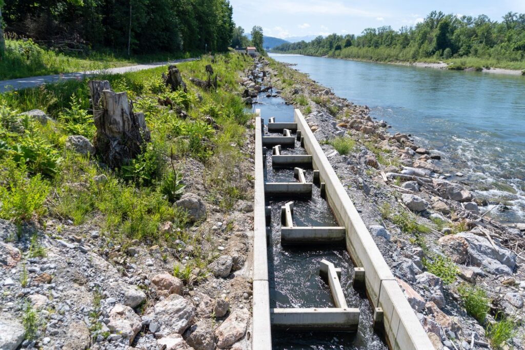 Beton-Fischaufstieg am Kraftwerk Muntigl mit Fischtreppe parallel zum Flussufer und naturnaher Ufergestaltung.