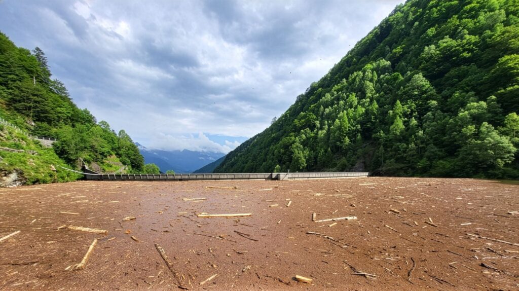 Stausee mit Treibholz vor einer Staumauer, umgeben von bewaldeten Bergen unter bewölktem Himmel.