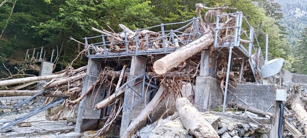 Massive Verklausung durch Treibholz an einem Betonwehr nach Hochwasser; entwurzelte Baumstämme blockieren den Wasserdurchlass.
