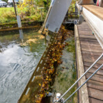 Die zuvor eigenständige Regelung der Rechenreinigungsmaschine wurde in die allgemeine Kraftwerkssteuerung implementiert. KW Deisl Rechenreiniger bei Arbeit