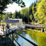 Oberwasseransicht der Jank-Referenzanlage Grabenmühle in Eugendorf. Mit der als Laufkraftwerk neu errichteten Anlage an der Fischach konnten sowohl die ökologische Durchgängigkeit hergestellt als auch die Leistung und Jahresarbeit erheblich gesteigert werden. KW Grabenmühle Eugendorf