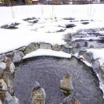 Naturnaher Tümpelpass Naturnaher Tümpelpass