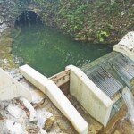 An der Wasserfassung wurde ein modernes Coanda-Rechensystem vom Typ Grizzly von der Fa. Wild Metal installiert. Außerdem führt über die sorgsam angeordneten Steine Österreichs erste Krebswanderhilfe – speziell für den hier heimischen, streng geschützten Edelkrebs. Thiersee Coanda-Rechensystem