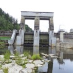 Fischliftschleuse nach dem System Der Wasserwirt am Kraftwerk Partenstein der Energie AG Oberösterreich enatur Fischpass