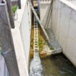 Der eco²-Fischpass und der technische Beckenpass bilden ein ideales Gespann zur Herstellung der ökologischen Durchgängigkeit. Kraftwerk Ratten Denilpass Gegenseite